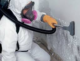 Best HVAC Mold Inspection and Cleaning  in Groveland, FL